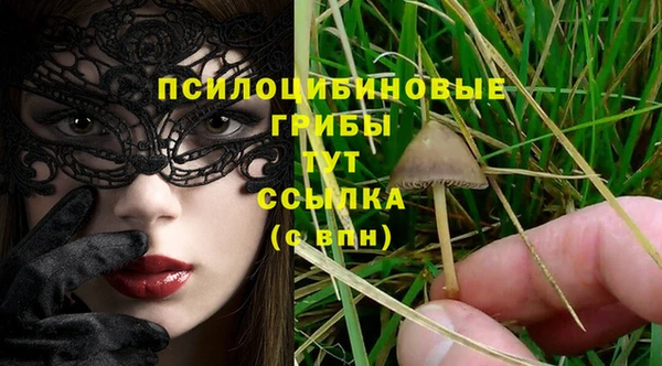 стафф Сосновый Бор