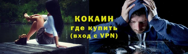 ешки Протвино