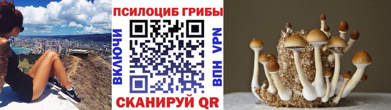 Псилоцибиновые грибы MAGIC MUSHROOMS  Хадыженск 